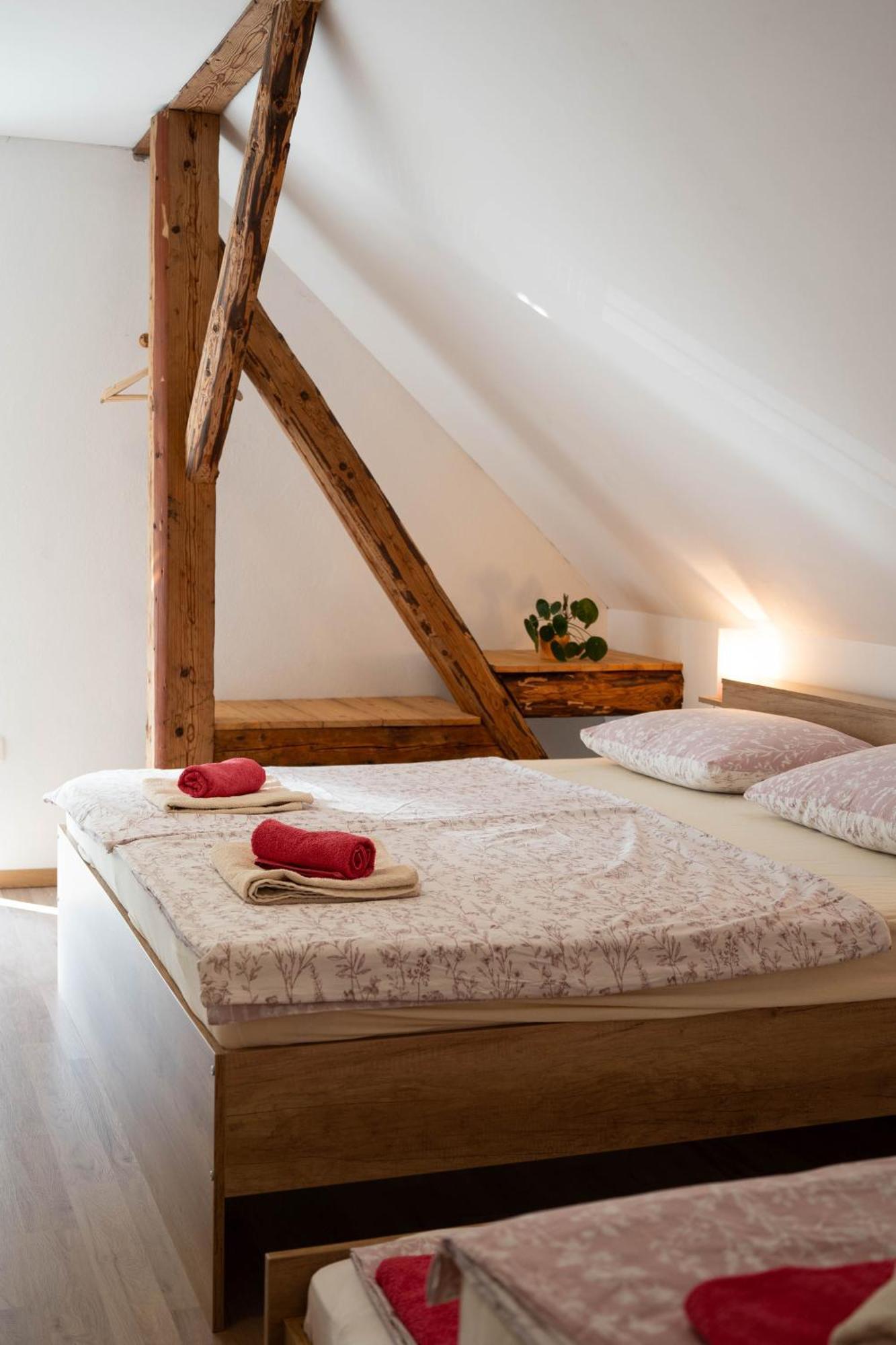 Apartma Sveti Duh Nova Vas  Room photo